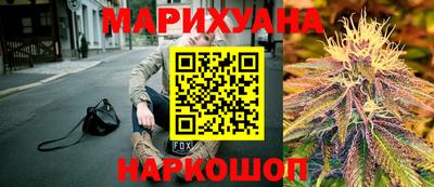 дмт Гай