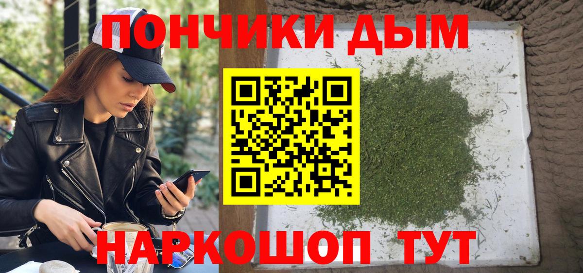Конопля план  Каннабис индика  Заволжье  Вход с VPN  Бошки Шишки марихуана 